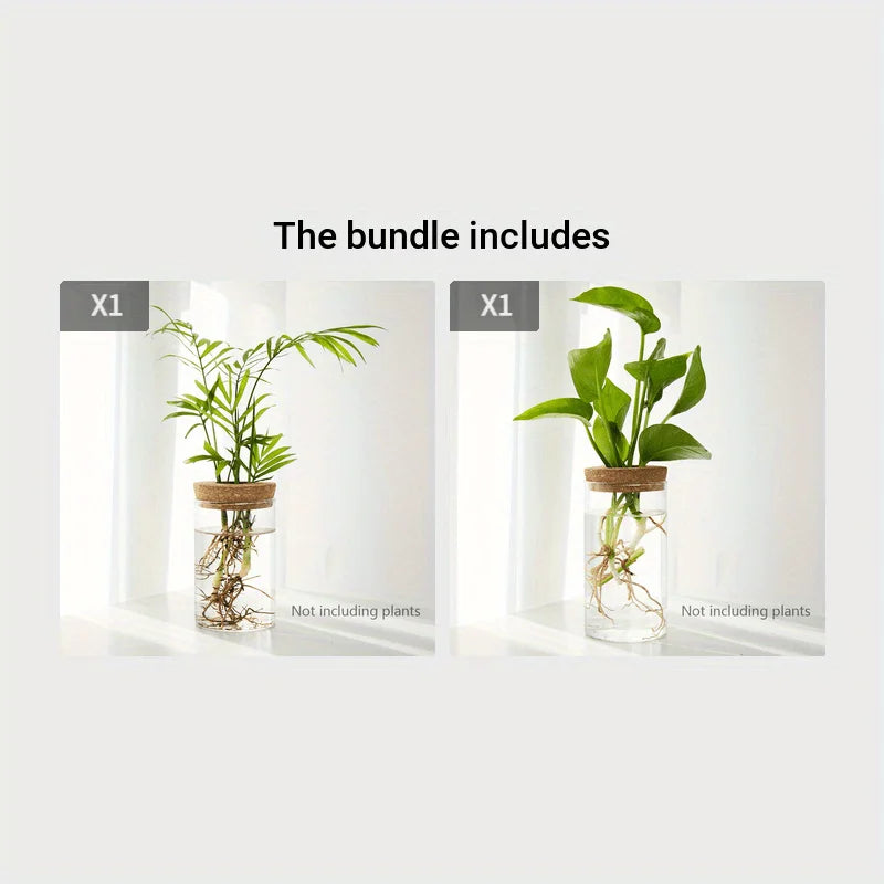 1pc, Hydroponics Plants Desktop Glass Planter Vase For Home Decoration, Plant Propagation Station Bud Vase, Desktop Hydroponics